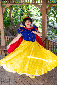Snow White Princess Adult Costume Gown Dress Cosplay