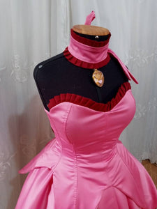 Pink dress tail and ears magical Tokyo mew Ichigo Momomiya costume