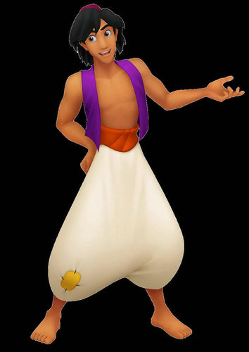 Adult Aladdin Costume Custom-made Aladdin Outfit for Men