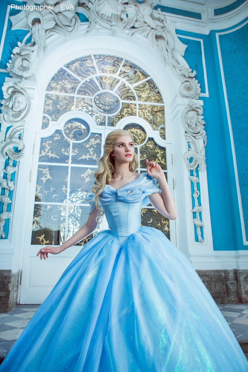 Adult Cinderella Dress for Wome