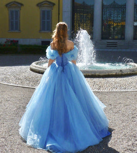Cinderella Dress for Adults Cinderella Cosplay Costume