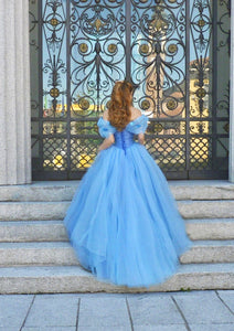 Cinderella Dress for Adults Cinderella Cosplay Costume