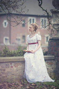 Jane Austen Regency Dress Hoho Dress Cosplay Costume