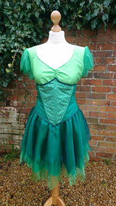 Tinkerbell Peter Pan Costume Fairy Pixie Costume