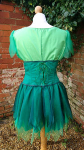 Tinkerbell Peter Pan Costume Fairy Pixie Costume