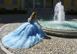 Cinderella Dress for Adults Cinderella Cosplay Costume